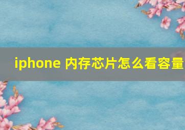 iphone 内存芯片怎么看容量